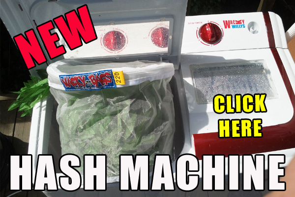 hash-machine