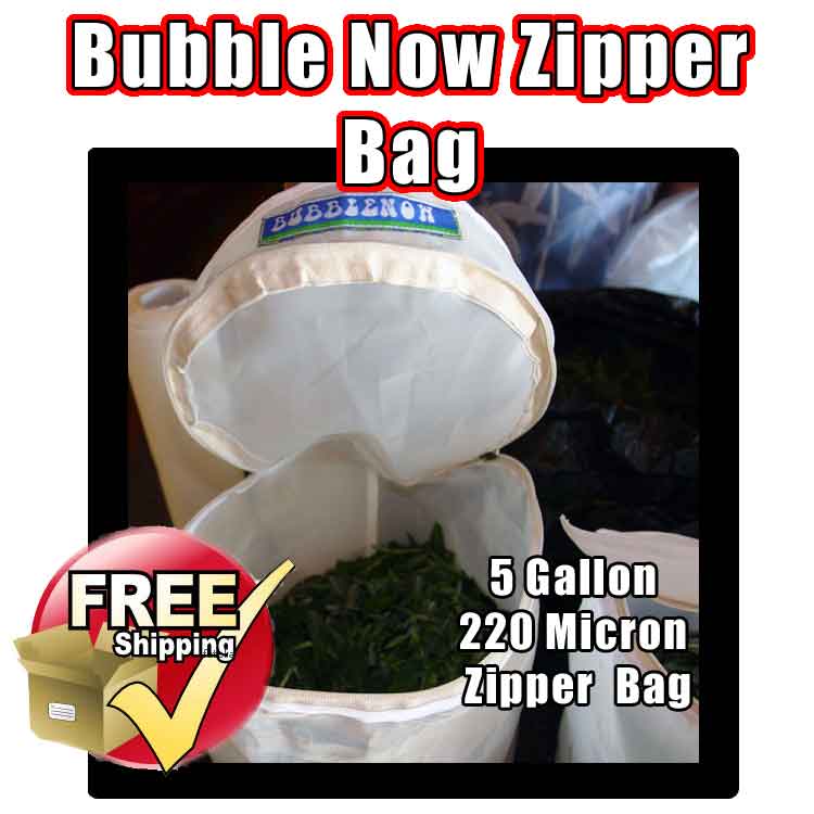 bubble-bags