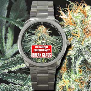 Marijuana Pot Seeds Leaf Watch Online Shopping Wholesale
